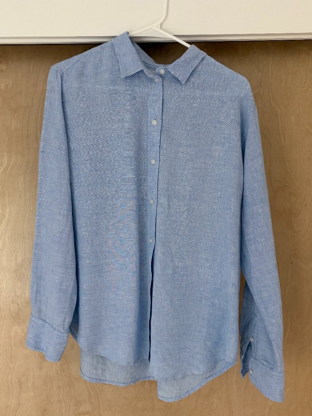 Everlane The Must-Have Shirt in Linen